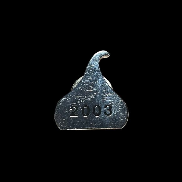 2003 Hershey Chocolate Candy Kisses Silver Tone Brooch Pin - Picture 2 of 4